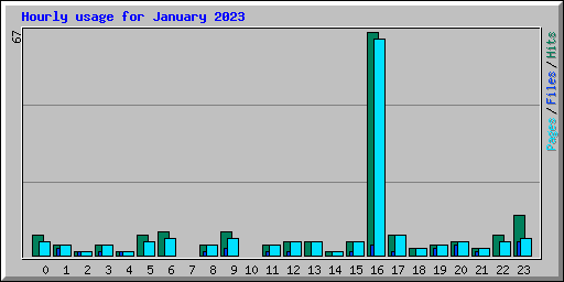 Hourly usage for January 2023